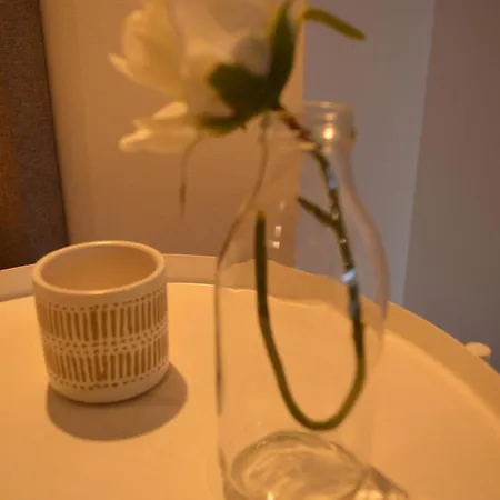 Cba Madeira بيت ضيافة فونشال